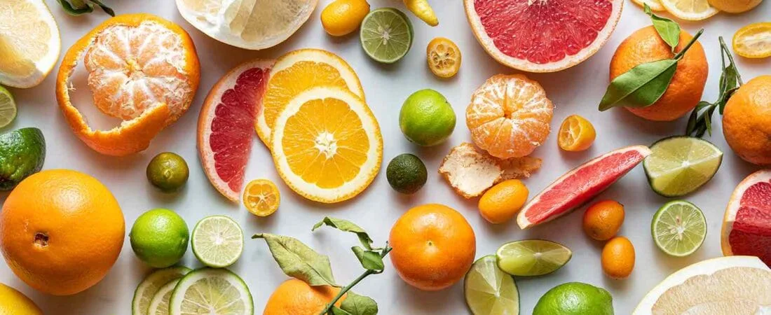 Northeastern Region as the "Citrus Belt of the World" | Lucent IAS